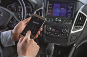 й(304am-VIP֤)-Official Platform