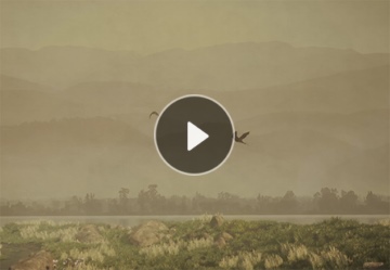 й(304am-VIP֤)-Official Platform