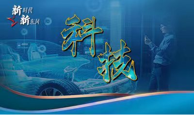 й(304am-VIP֤)-Official Platform